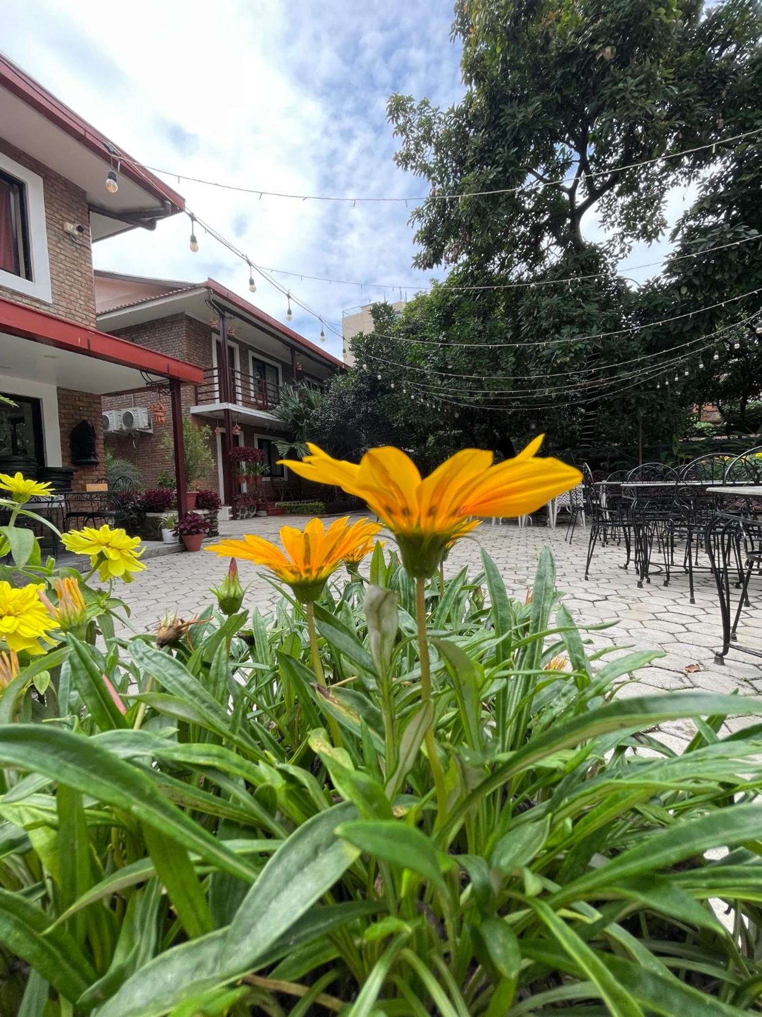 Nepal Cottage Resort Катманду Екстер'єр фото